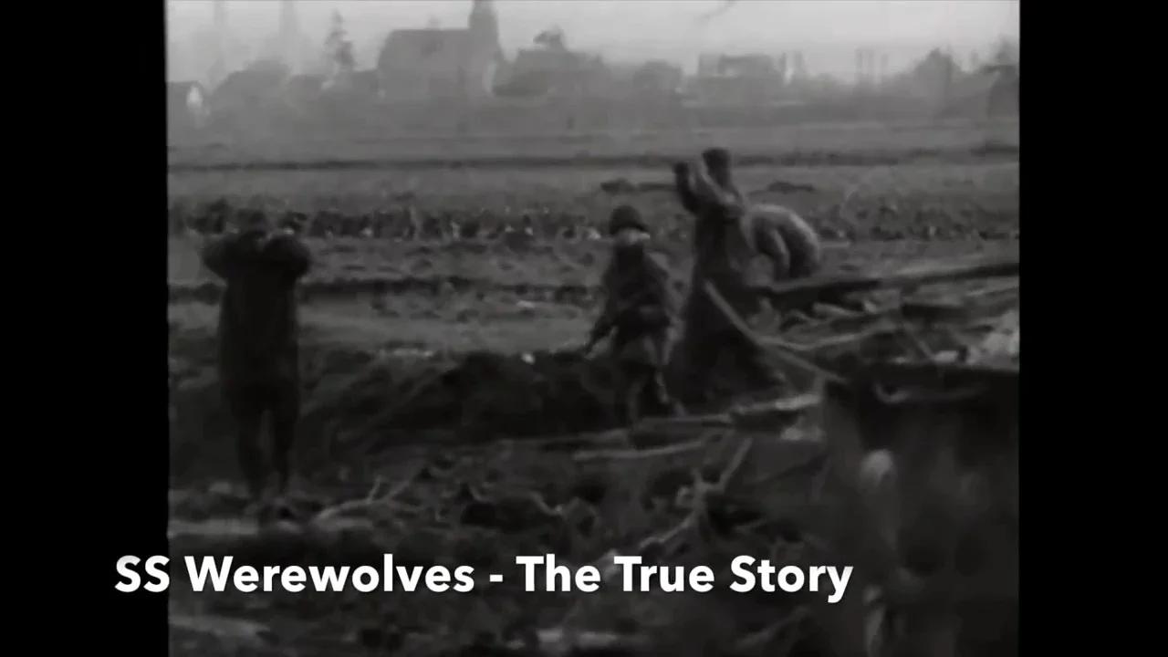 SS Werewolves Werwolf The True Storyby Mark Felton