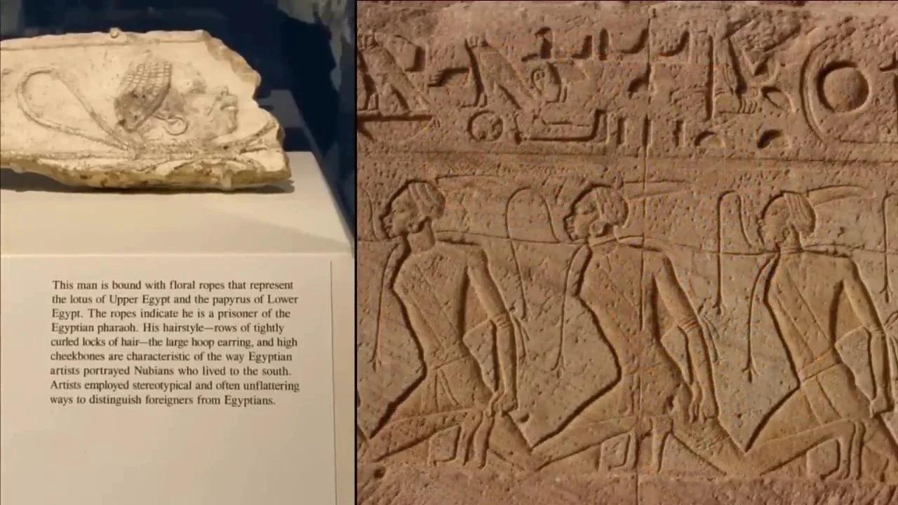 Mummy DNA of Ancient Egypt Robert Sepehr