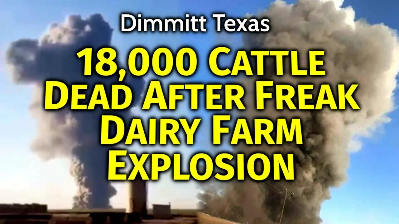 18,000 Cattle BLOWN UP In Freak Dairy Farm Dimmitt Explosion Food