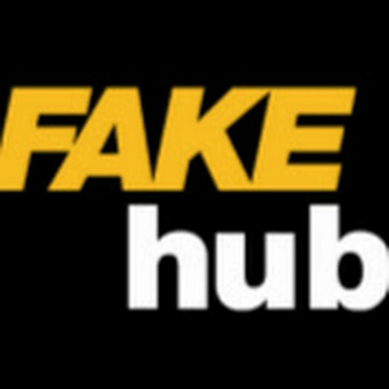 FAKE HUB official(04)