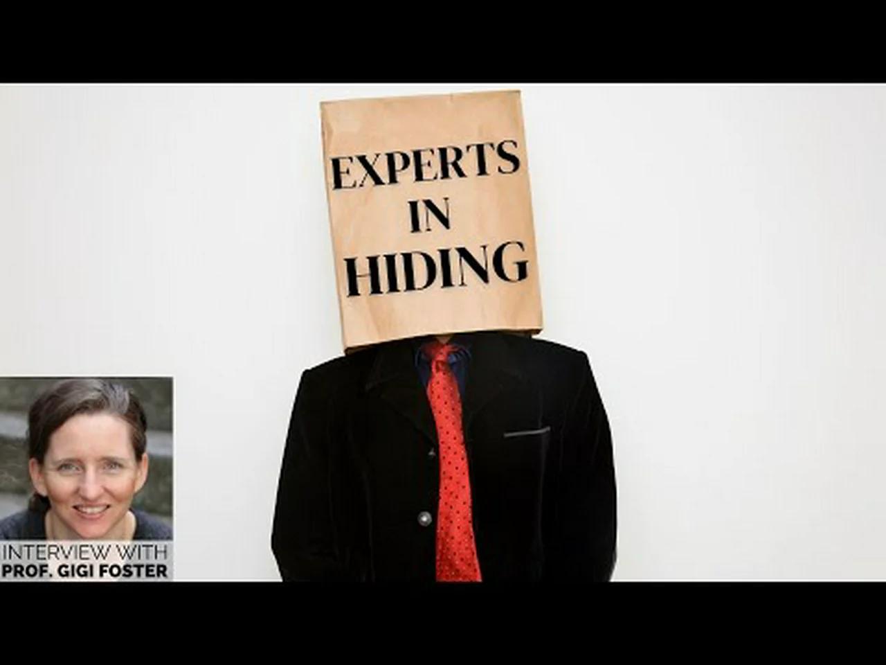 Experts In Hiding(08)