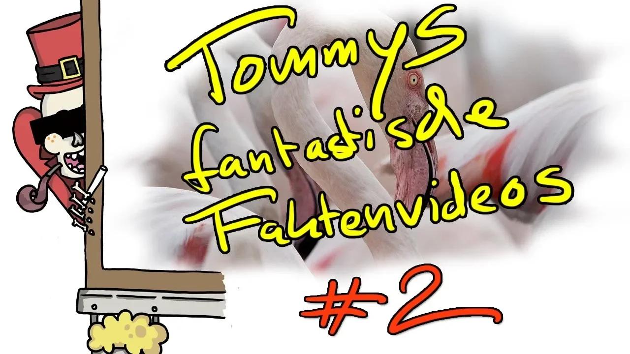 Tommys fantastische Faktenvideos #2