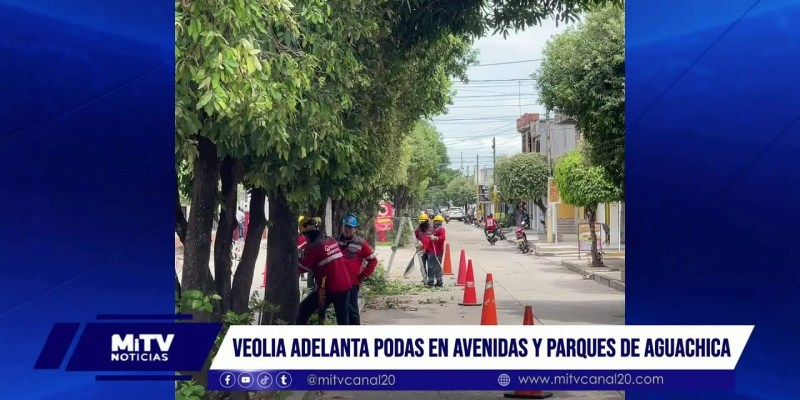 Veolia adelanta podas en avenida y parques de Aguachica