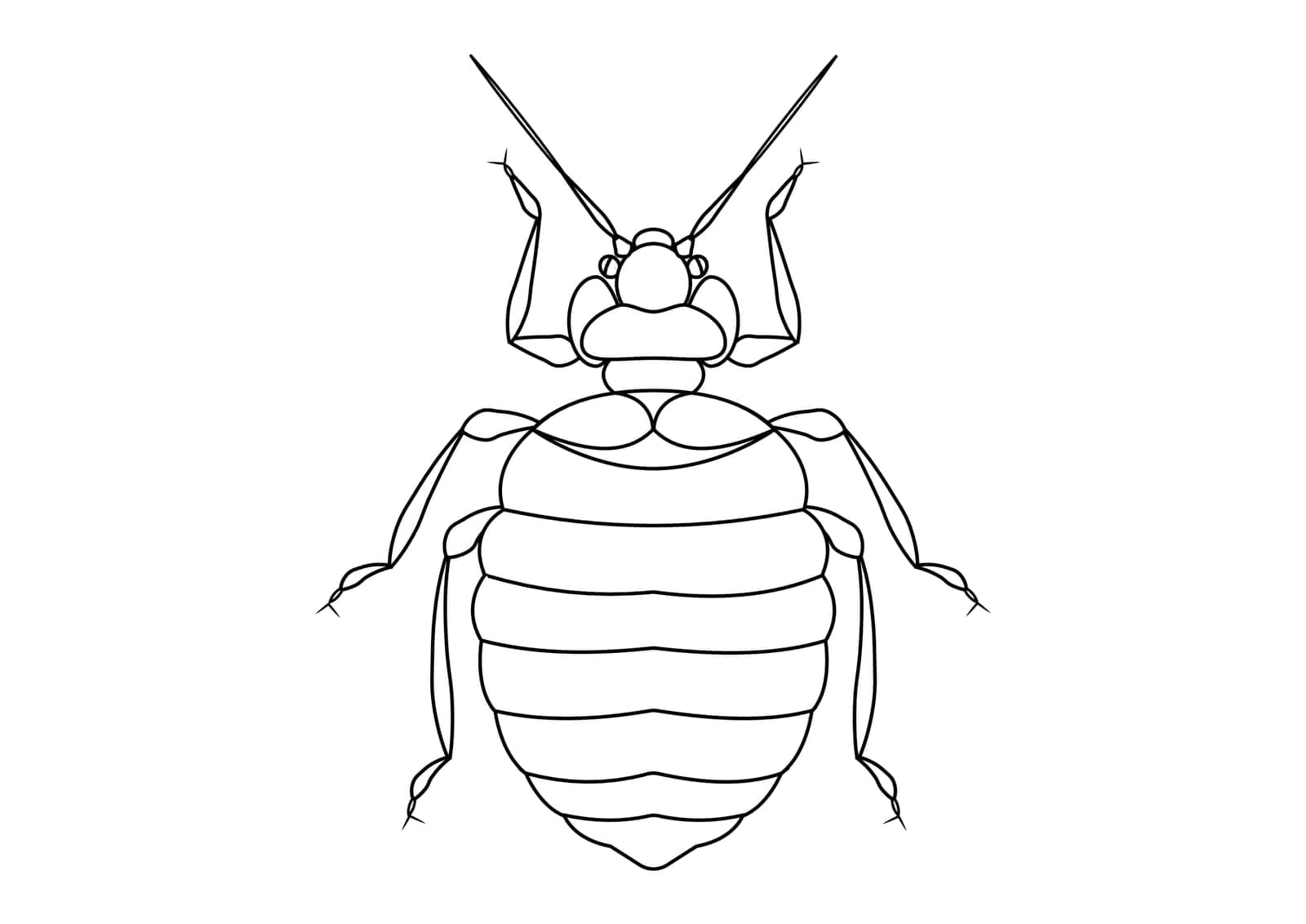 Black and White Bed Bug Clipart. Coloring Page of Bed Bug Stock Image