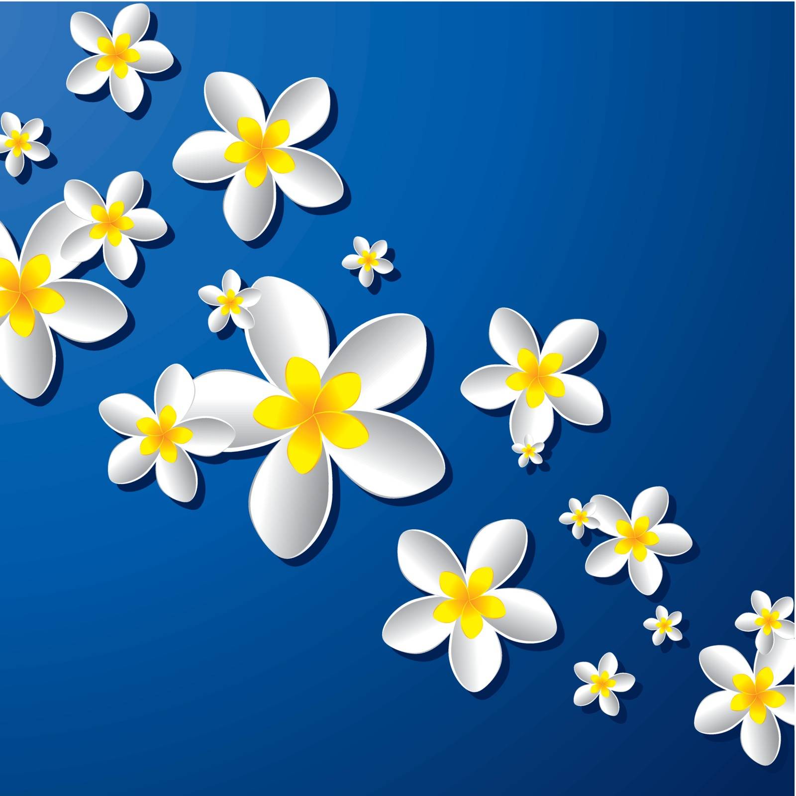 Frangipani flowers Stock Image Royalty Free Vector Images