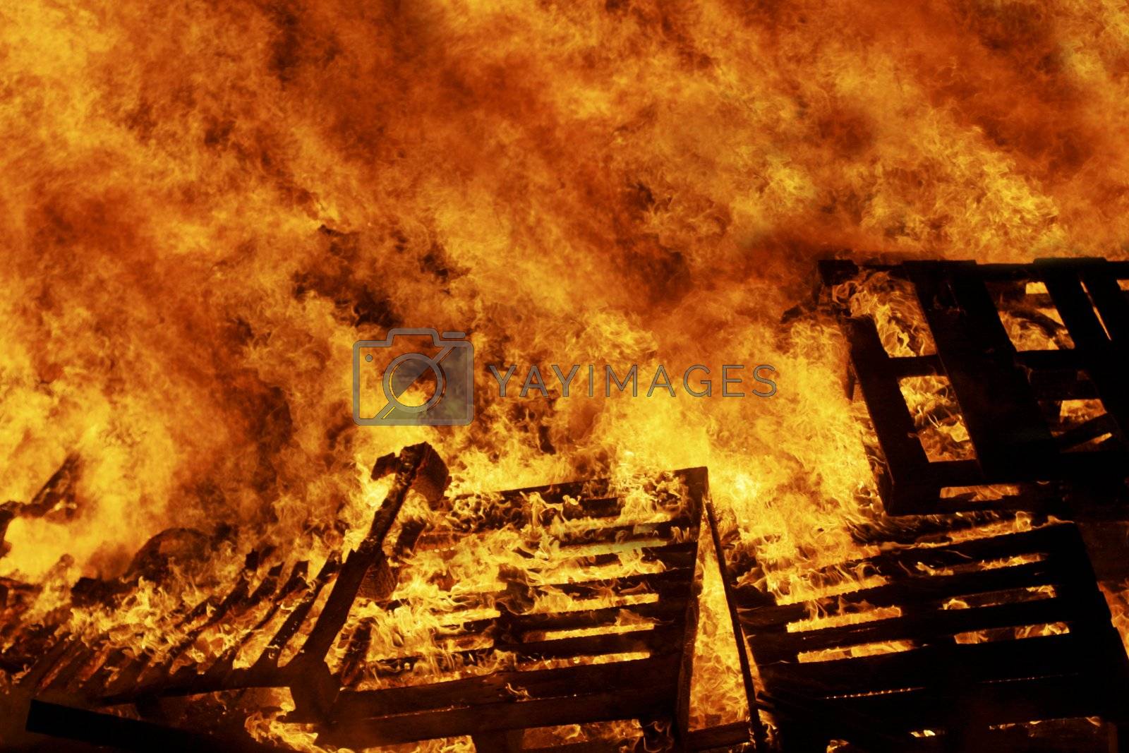 Stock Photos, Royalty Free Images, Vectors, Footage Yayimages