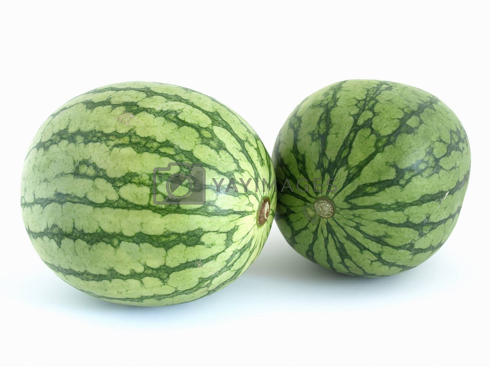 Two Watermelons by RGebbiePhoto Vectors & Illustrations with Unlimited