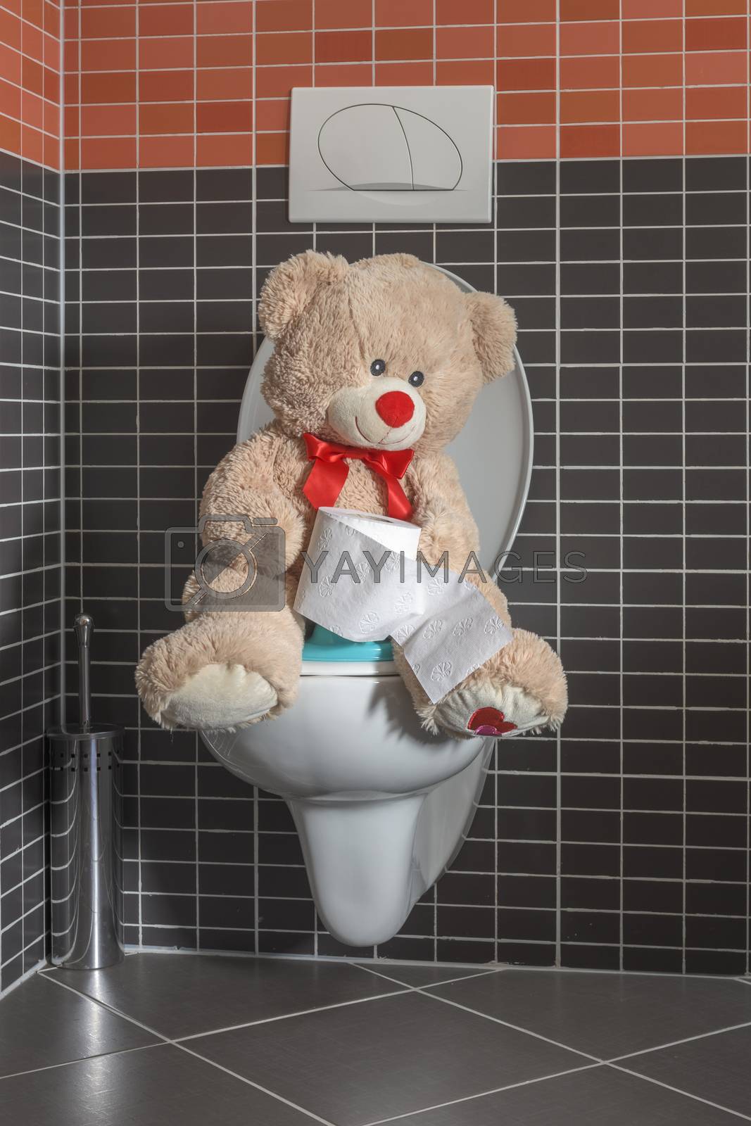 Toy teddy bear sitting on WC toilet bowl in bathroom, kids potty by