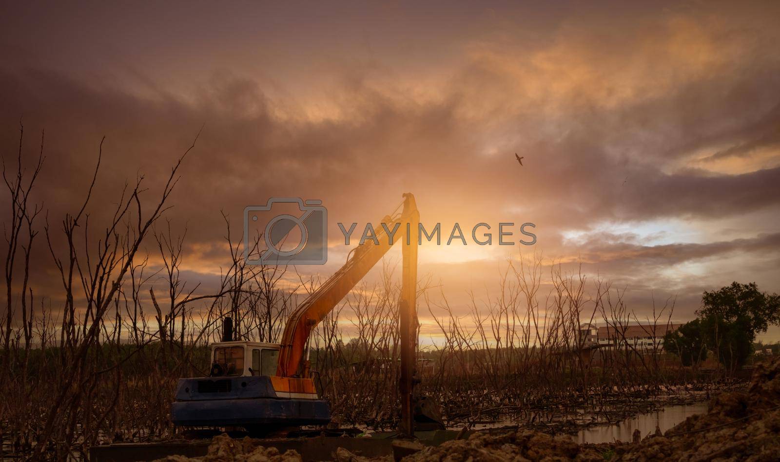 Excavator dredging mud at mangrove. Backhoe digging mud at construction