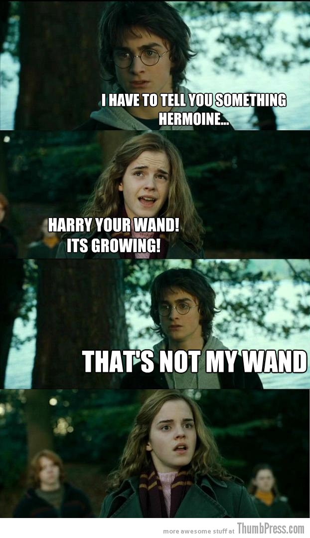 Horny Harry Hilarious Harry Potter Memes that make Hermoine Cringe (20