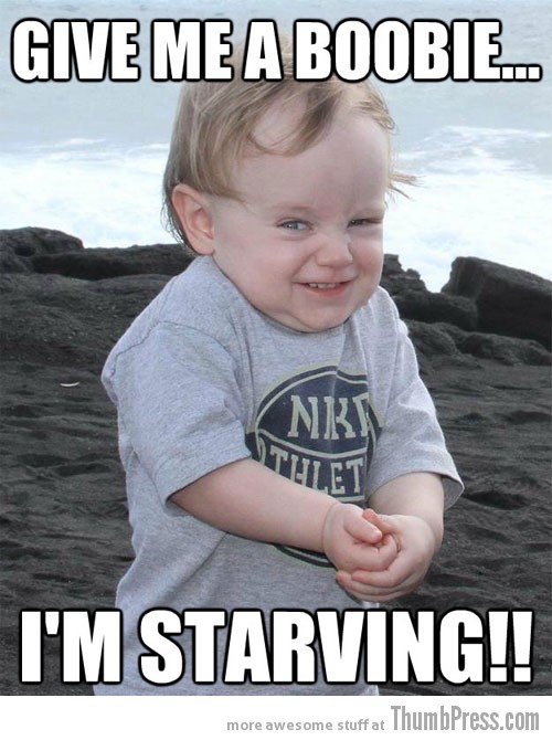 Hungry Funny Photos and Premium High Res Pictures