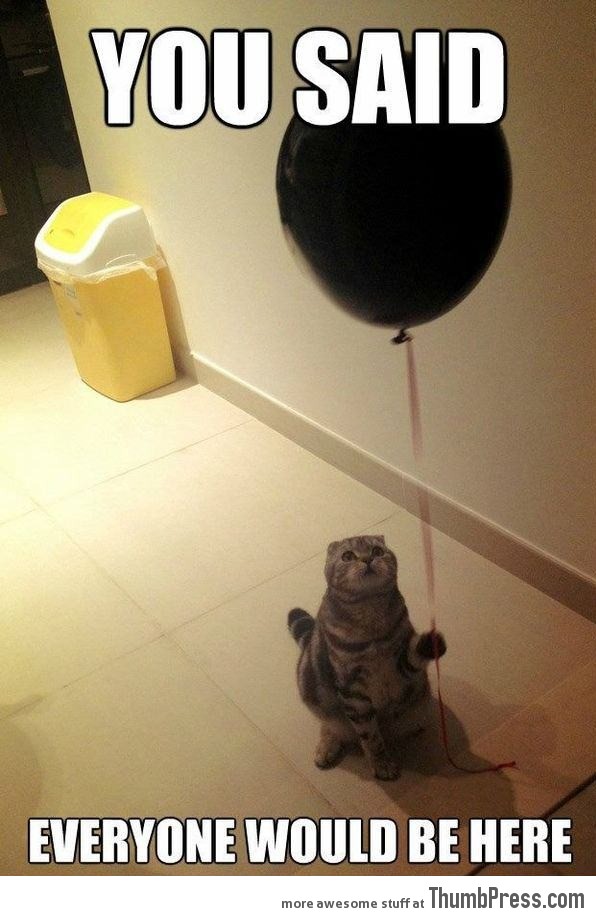 Sad Birthday Cat