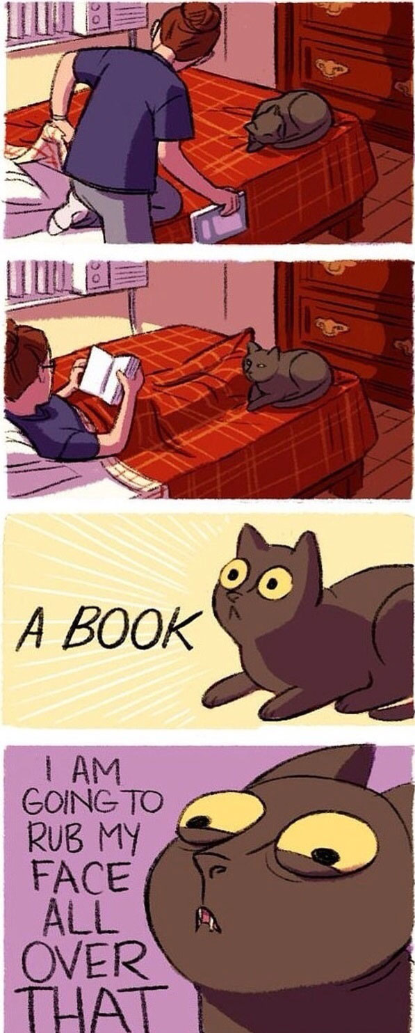 Super Awesome Pic Dump Of The Day (20 Funny Pics)