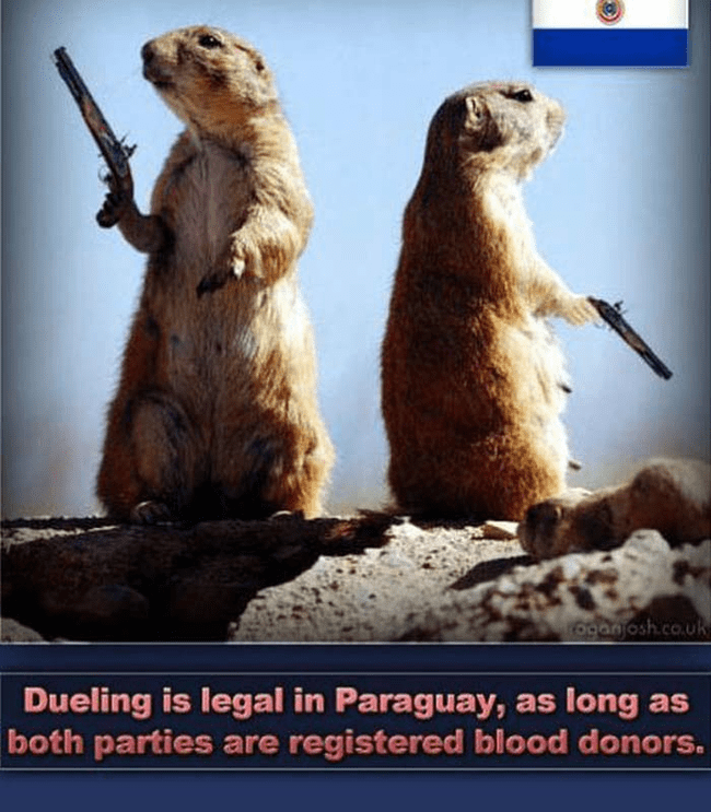 26 Very Interesting But Useless Facts