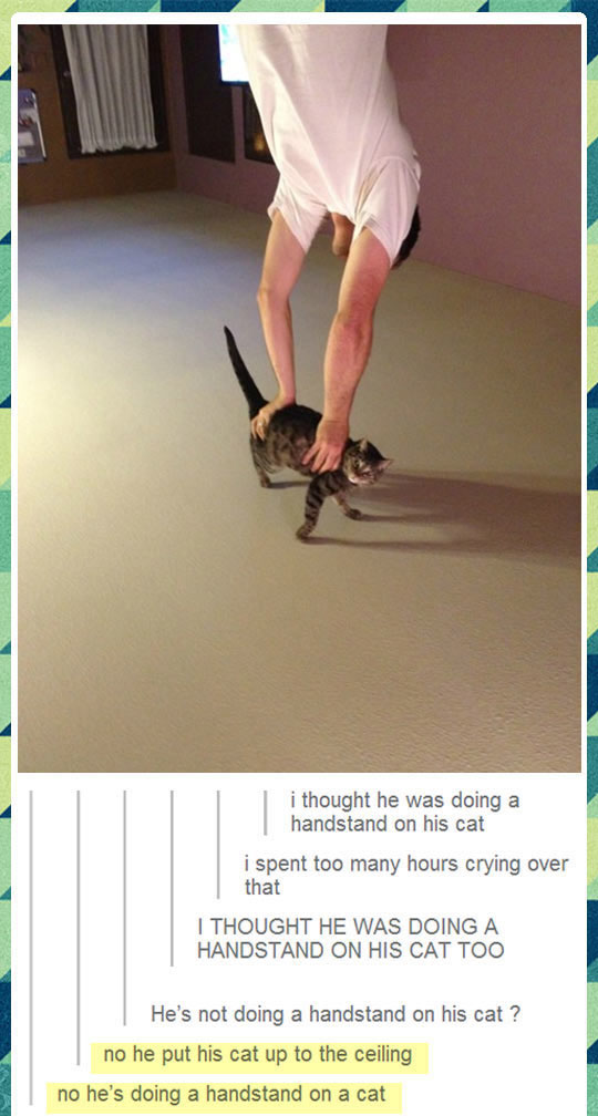 Perfect Cat Handstand.