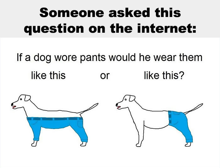 If Animals Wore Clothes How Would They Wear Them? (7 pics)