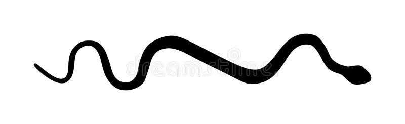 Snake Vector Silhouette Isolated On White Background. Black Serpent Tattoo. Poison Snake Symbol. Deadly Venom, Symbol Of Medicine Stock Illustration - Illustration Of Danger, Poisonous: 165003668