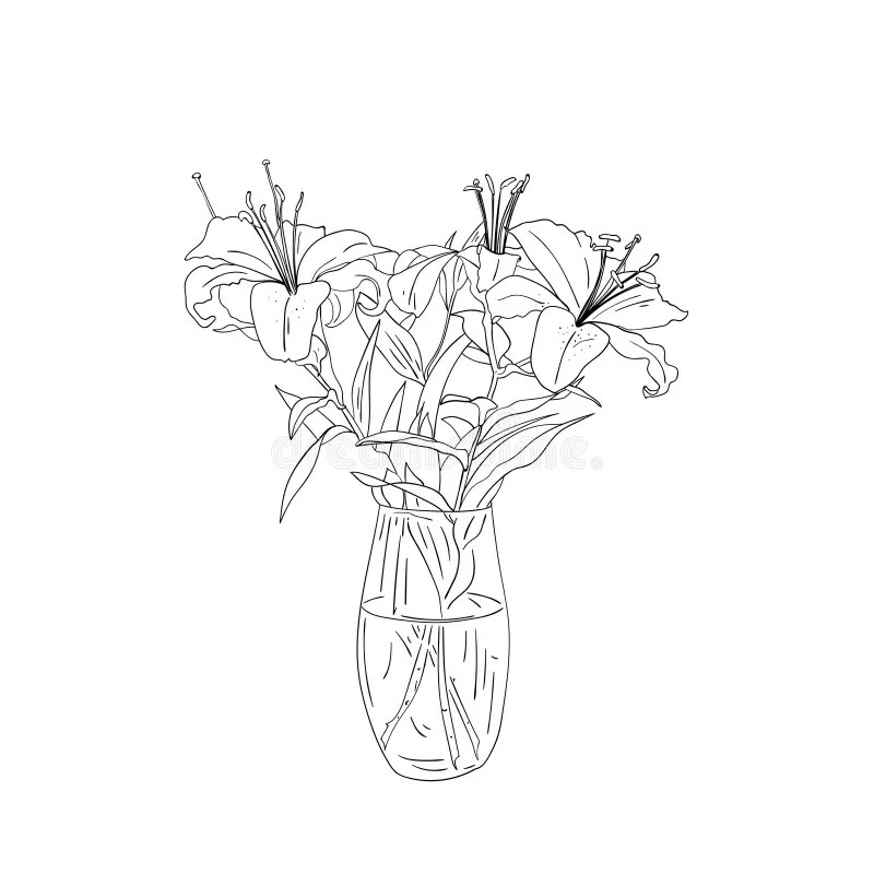 Bouquet of Lily Flowers in a Vase. Stock Illustration Illustration of