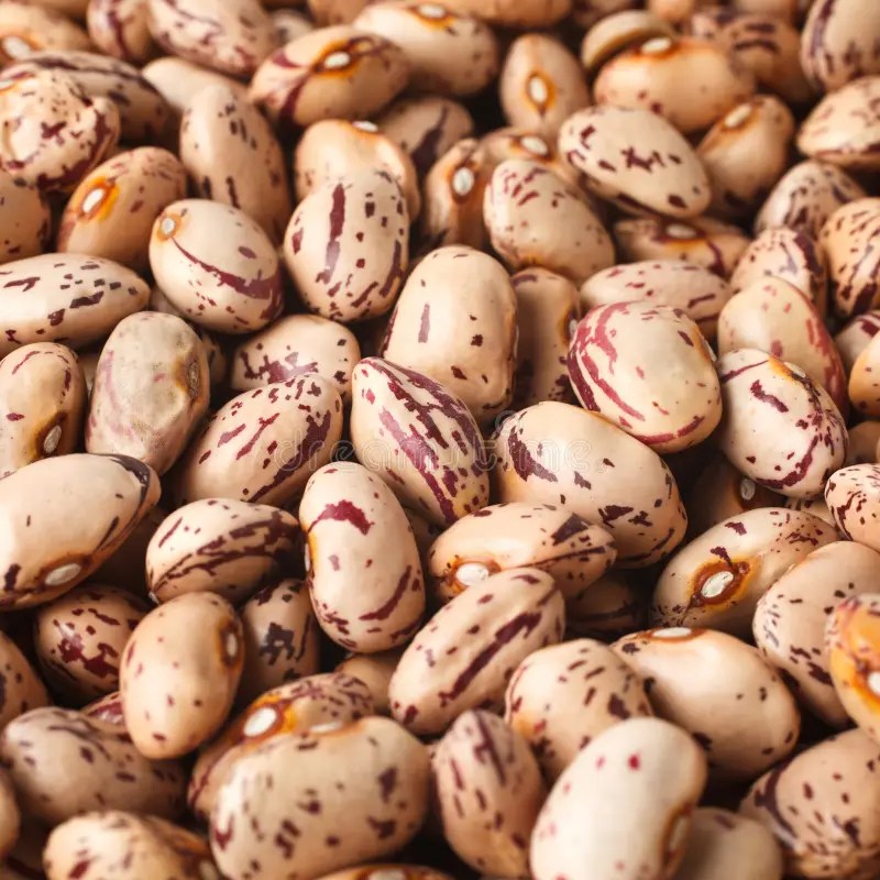 Beans stock image. Image of green, organic, macro, meal 29247053