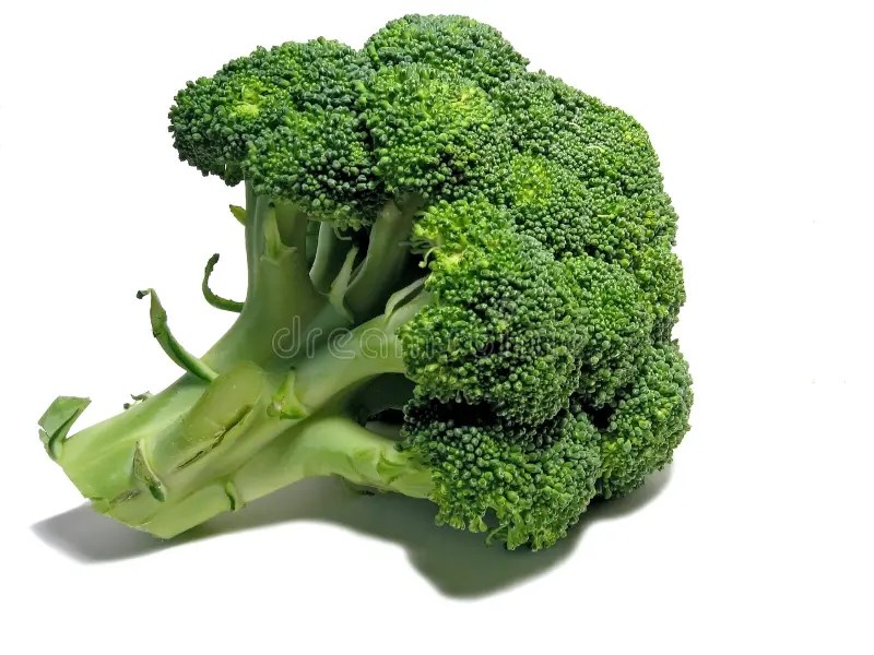 Broccoli stock photo. Image of vegetable, green, head, bunch 243306