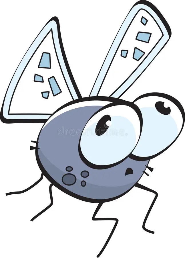 Bug stock vector. Illustration of gray, pest, wings, eyes 6651158