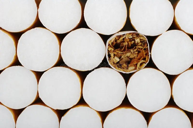 Cigarette without Filter stock image. Image of paper 14416421