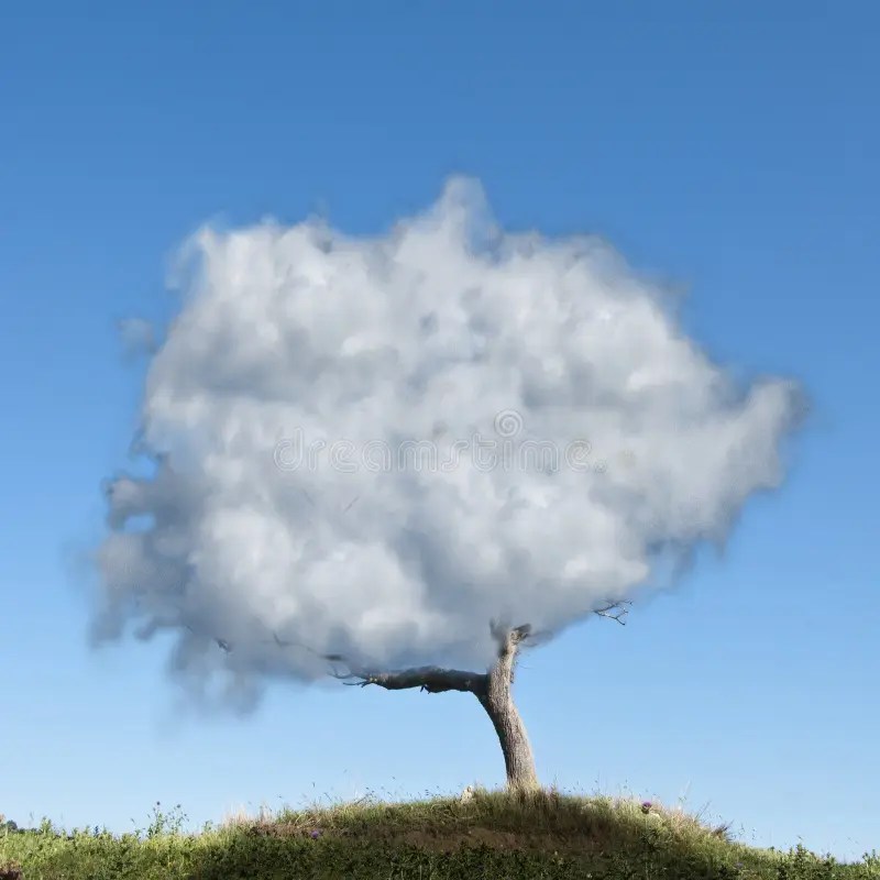 Cloud tree stock photo. Image of tree, ideas, creative 25984426