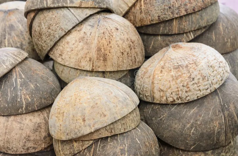 Coconut shell stock photo. Image of dried, hard, tropical 39857264