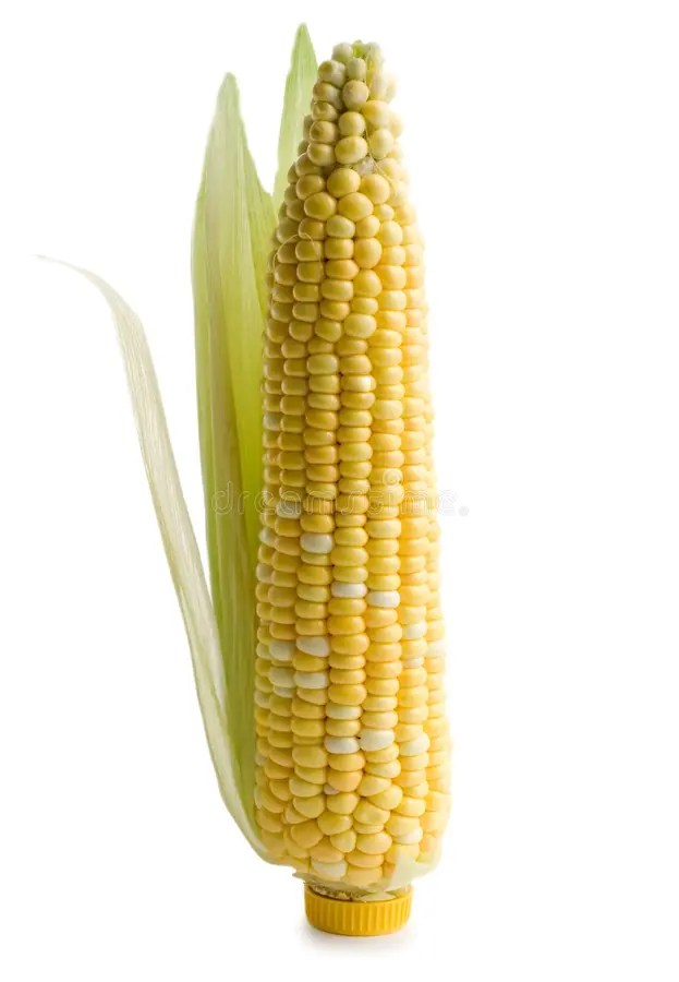 E85 Ethanol Gas stock image. Image of husk, conserve, corn 8569941