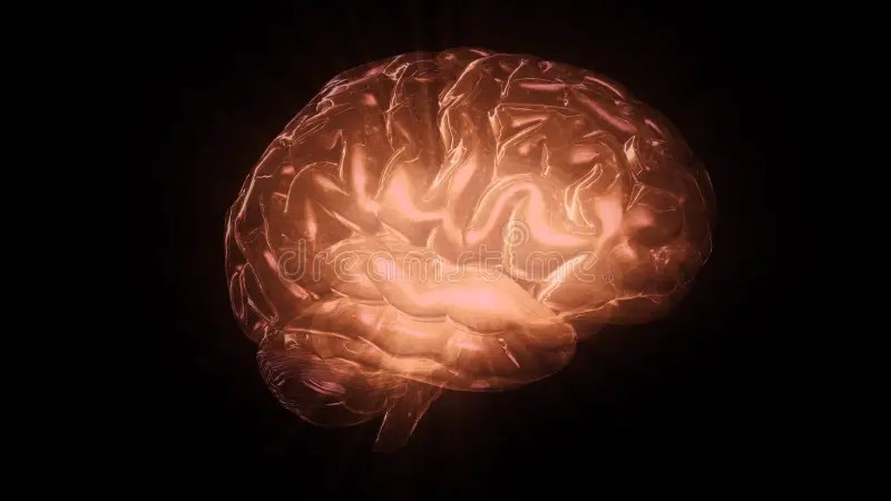 3D Rendering Of Computer Model Of Human Brain And Artificial