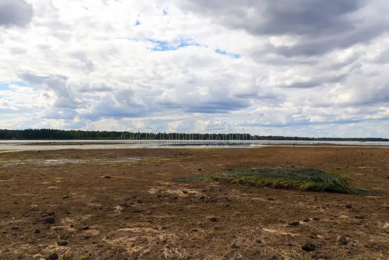 A Decrease in the Water Level during a Period of Severe Drought. the Water Level in the Rivers