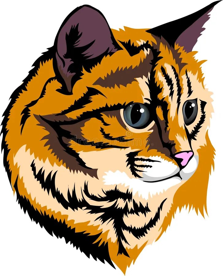 Die Katze vektor abbildung. Illustration von raub, klein 33925779