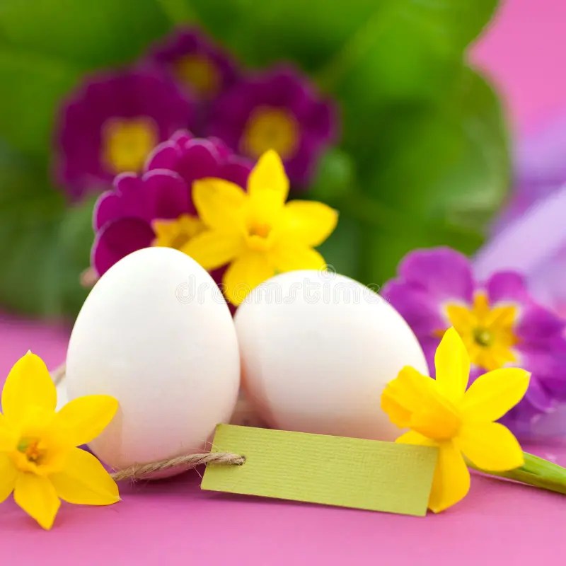 Easter time stock image. Image of filed, patchwork, blossom 23737487