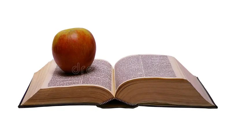 Edication stock image. Image of book, homework, grungy - 7904773