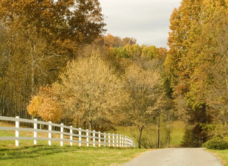 Fall Garage Scene stock image. Image of garage, seasons 11559969