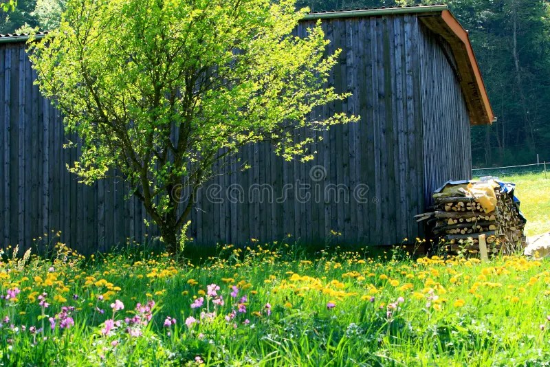 Fields And Meadows stock image. Image of farmhouse, agriculture 13826751