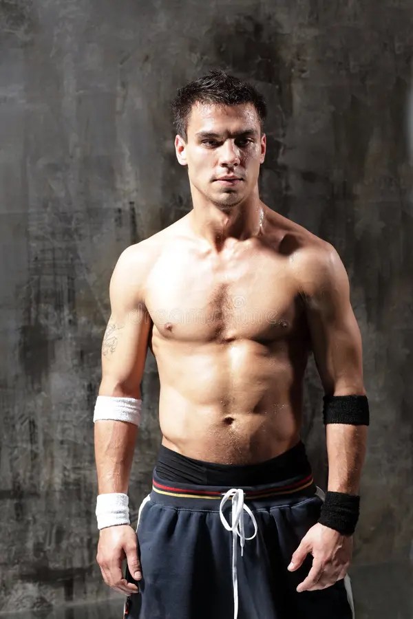 The fighter stock image. Image of muscular, healthy, athlete 10051691