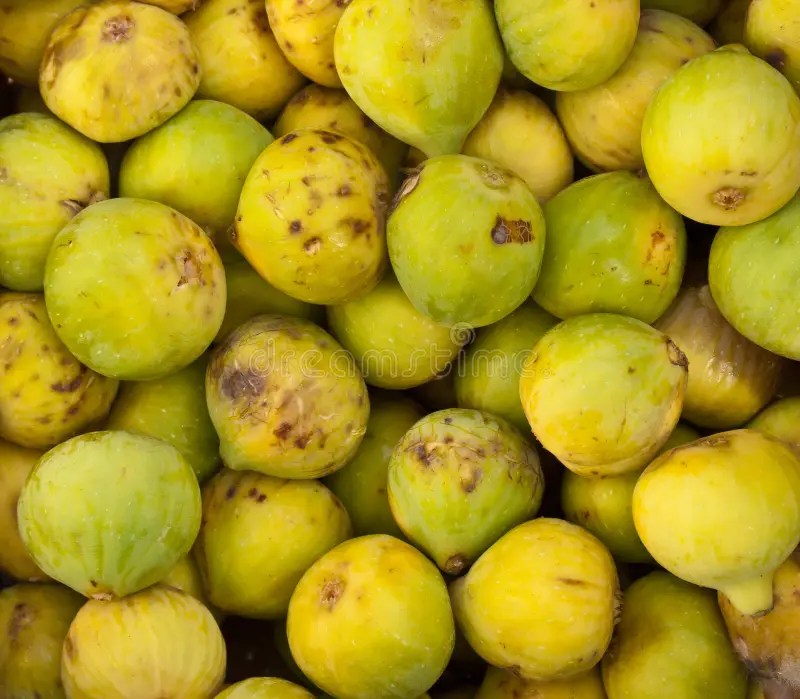 Fruits with pit stock photo. Image of vitamins, plum, summer 843126