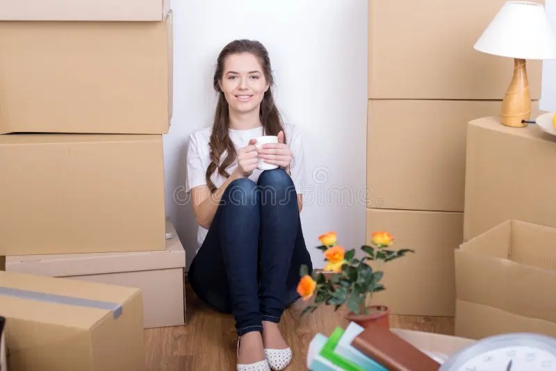 House Moving stock image. Image of domicile, homey, home 38401331