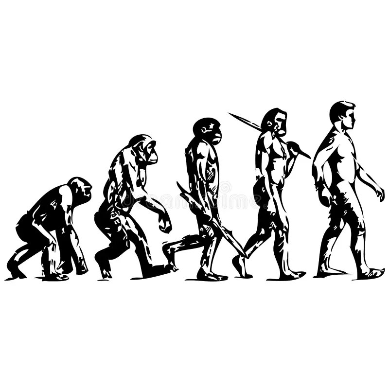 HUMAN EVOLUTION Stock Photo Image 9342070