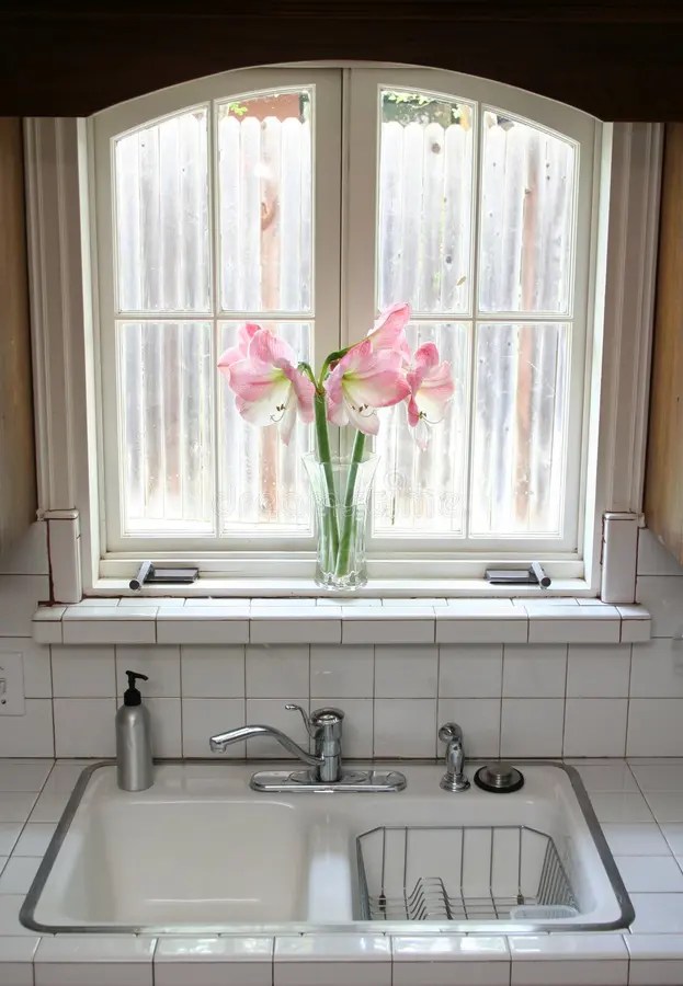 Kitchen Window stock image. Image of clean, chrome, flowers 9371285