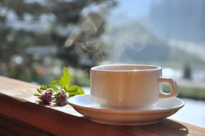 Kopp kaffe te arkivfoto. Bild av kopp, lampa, fred, green