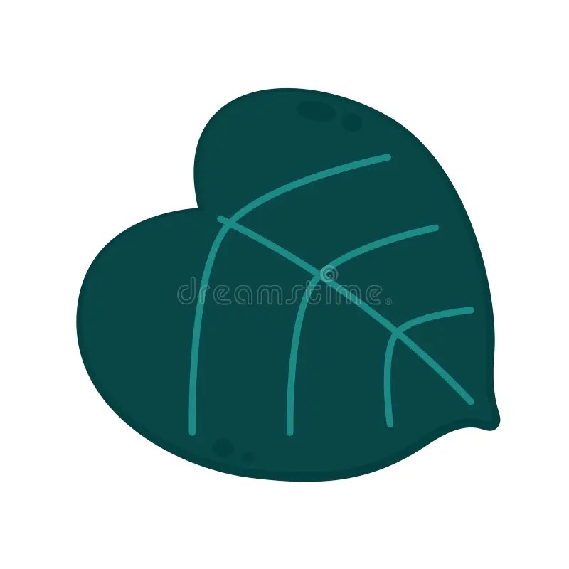 Spotted Betel Stock Illustrations 15 Spotted Betel Stock