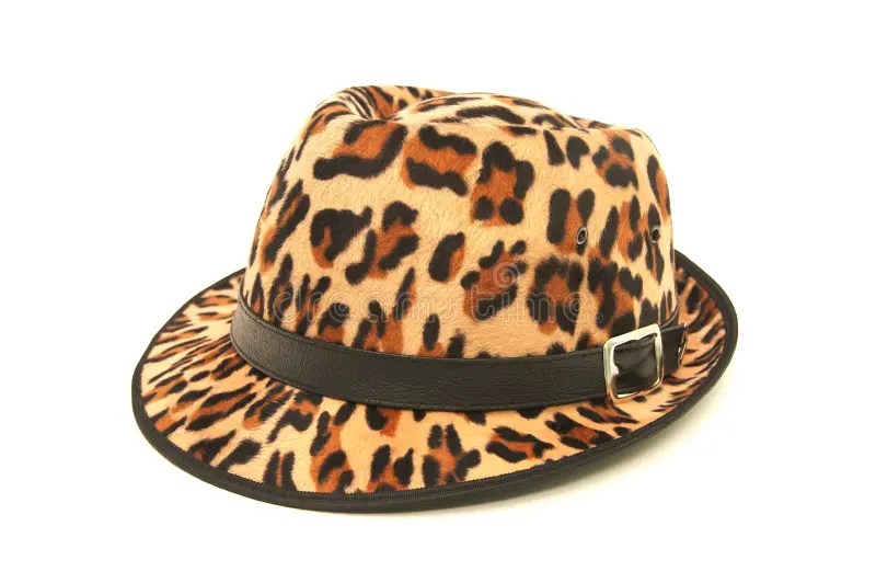 Leopard pattern hat. stock image. Image of girl, fashionable 27176429