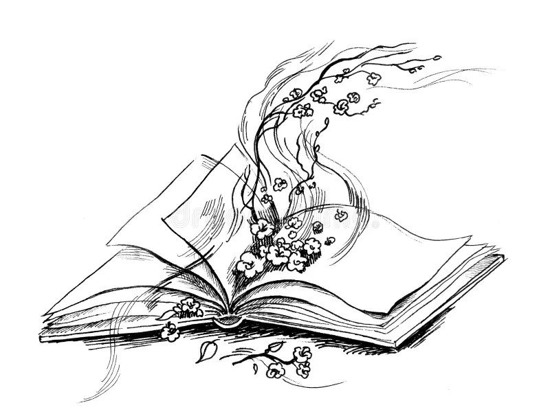Magic Book Review Drawing Room Deceptions by Guy