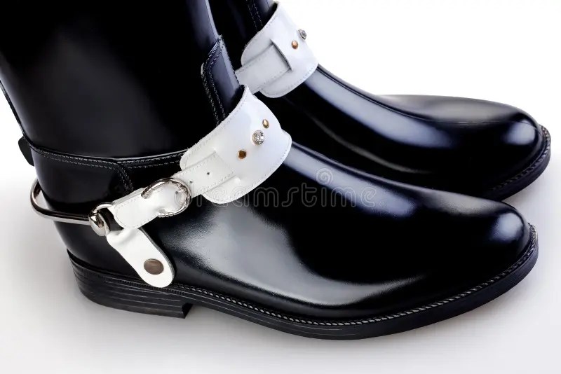 345 Ferse Sporn Fotos Kostenlose und RoyaltyFree StockFotos von