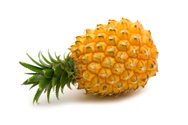 Mini pineapple stock image. Image of healthy, single, juicy 6696545