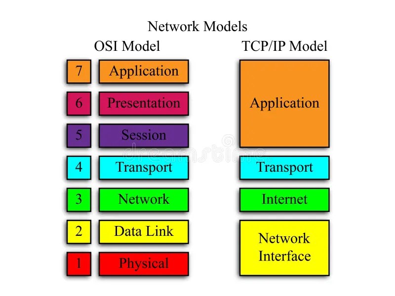 Bridge and Switch OSI Network Model Stock Illustration Illustration of computers, application