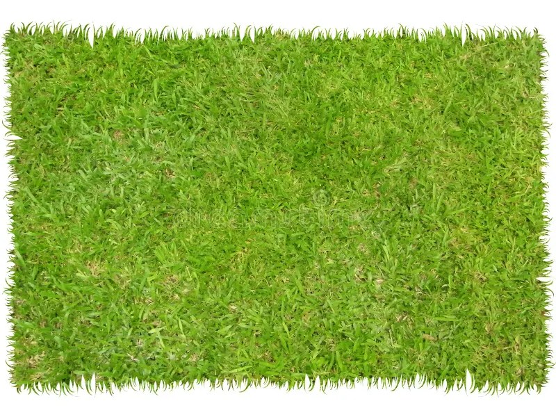 Patch of grass stock image. Image of texture, nature, green 5361899