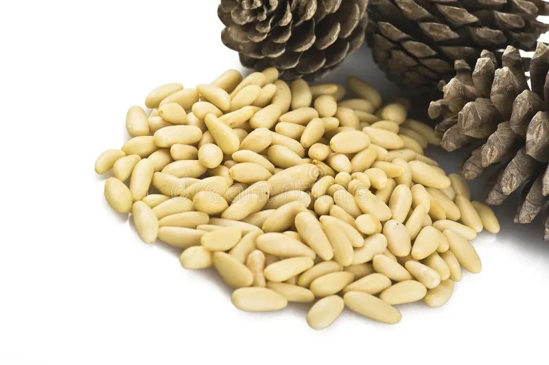 Pine nuts stock image. Image of pinea, white, food, ingredient 20010489
